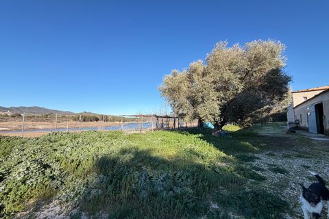 Farm i Planes, Alicante, Planes - € 620.000 | Ref: 10291 - foto 26